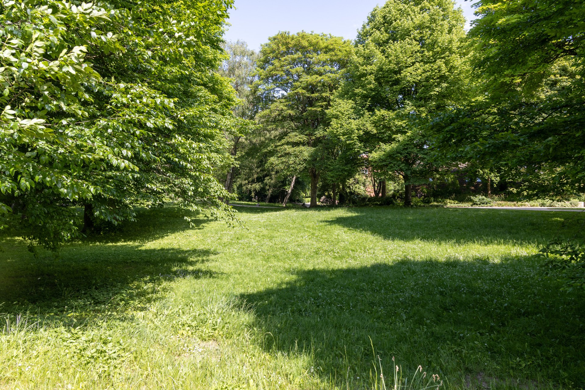 Pictures of the walk: Condition and preservation of Kiel's trees using the example of the Ratsdienergarten with . Wed, Sep 18, 2024