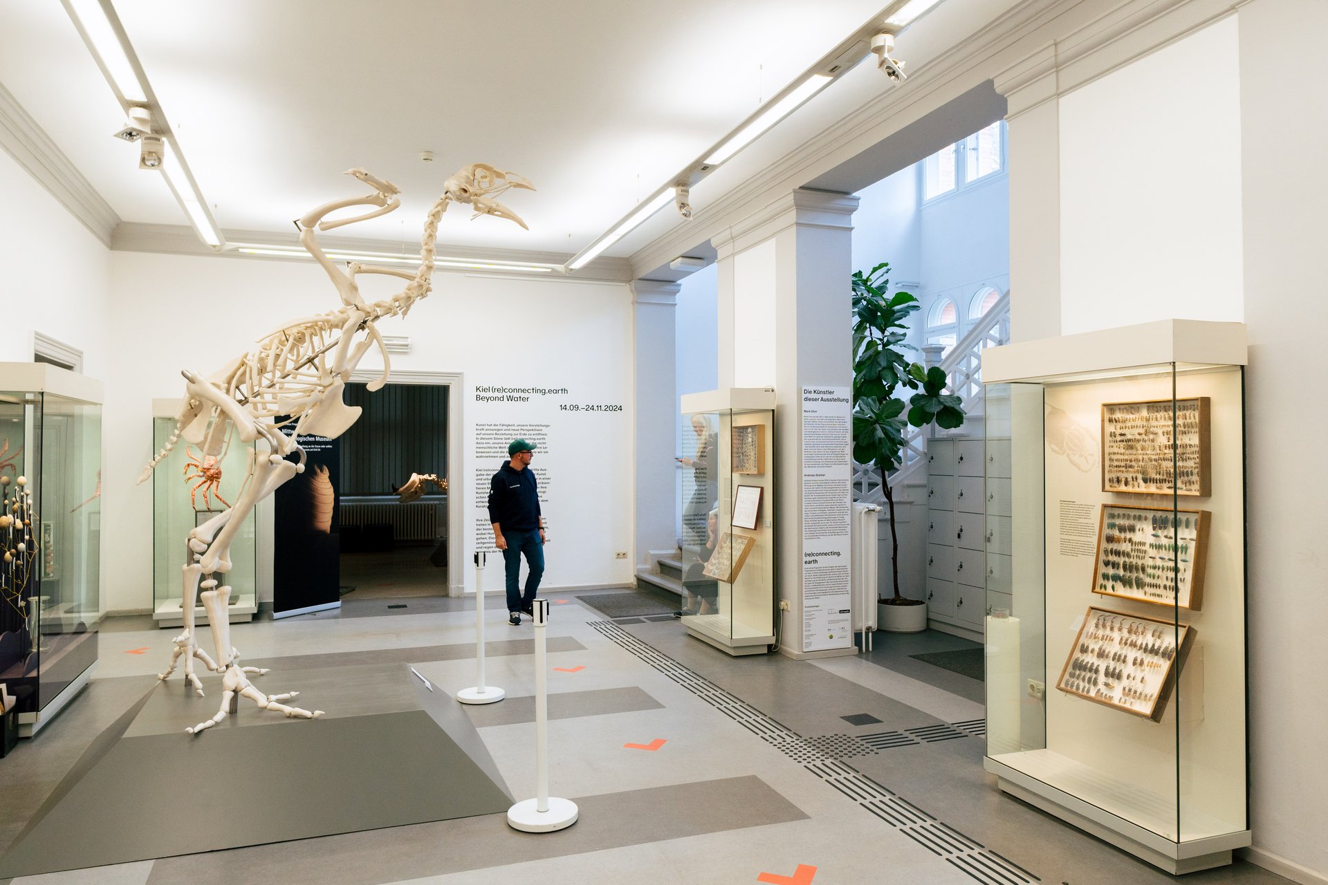 Pictures of the artistic journey with Prof. Andreas Greiner: From the Zoological Museum to Stadtgalerie Kiel with Andreas Greiner. Thu, Oct 17, 2024