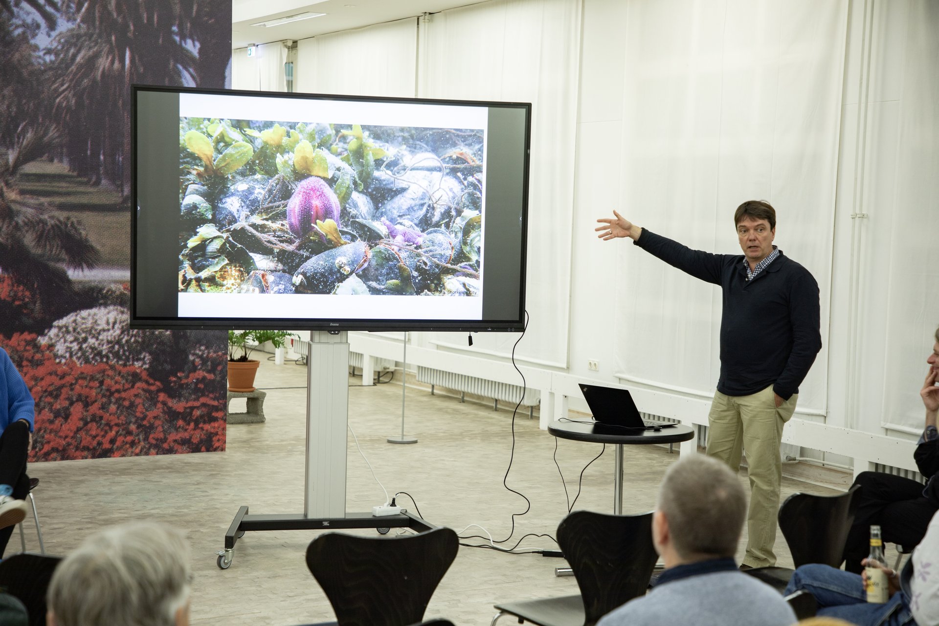 Pictures of the discussion on art and marine conservation - with Marie Griesmar (rrreefs and artist of the exhibition), Mark Lenz (Geomar), Miriam Hansen (Snorkeling City) with . Sat, Oct 26, 2024