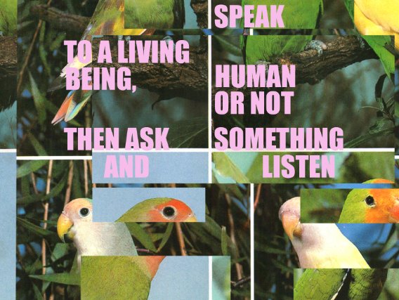 Speak, Human or Not