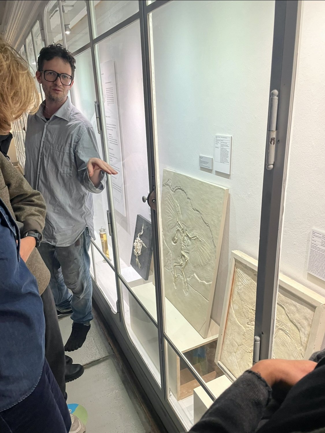 Pictures of the artistic journey with Prof. Andreas Greiner: From the Zoological Museum to Stadtgalerie Kiel with Andreas Greiner. Thu, Oct 17, 2024