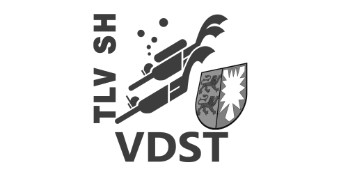 VDST