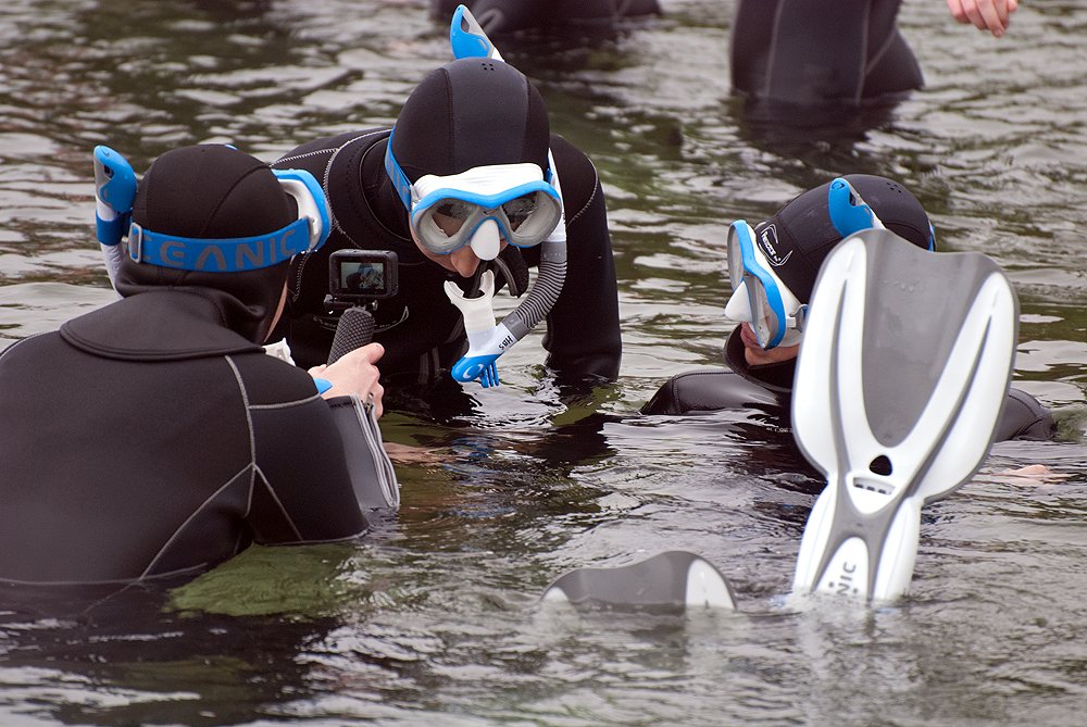 Pictures of the snorkelling event in Strande - Knowledge creates art - 07., 14.  & 15.09. with . Sat, Sep 7, 2024